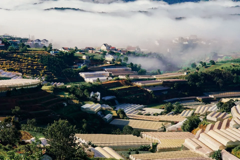 Nông sản đang có hàng